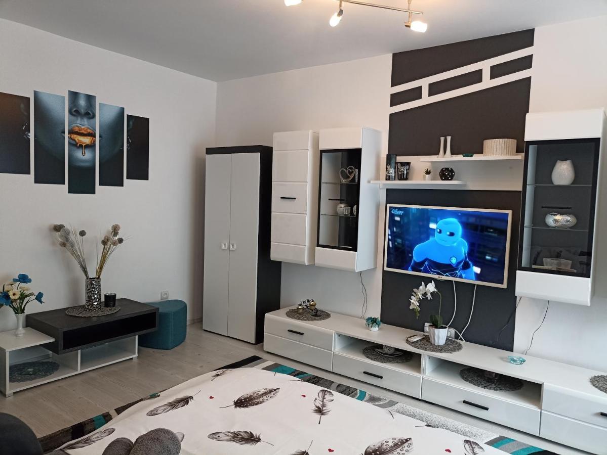Apartament Sofy2 Baile Herculane Exterior photo