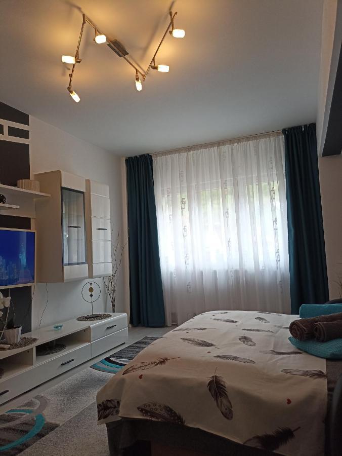 Apartament Sofy2 Baile Herculane Exterior photo